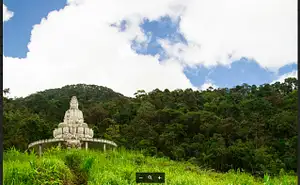 Full-day Guided Tour from Hue: Trekking in Bach Ma National Park