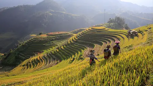 Tours of Vietnam