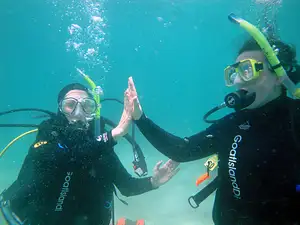 Open Water Course (Learn to Dive) | Goat Island