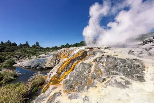 New Zealand North Island Tour Special