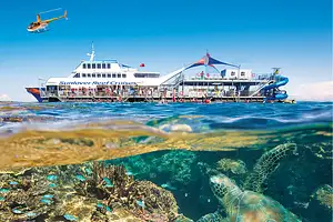 Reef ZOOM Morning Moore Reef Experience | Cruise/Fly