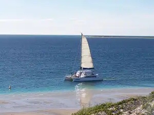 Afternoon Sail & Snorkel | Coral Bay