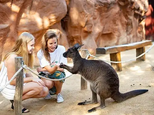 WILDLIFE Sydney Zoo - General Admission