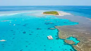 Lady Musgrave Experience