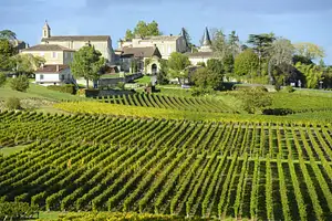Grand Cru Chateau and Saint-Emilion Village Half Day Guided | From Bordeaux