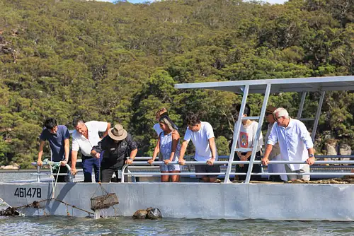 Oyster & Pearl Lovers Complete Immersion | Option with local transfer