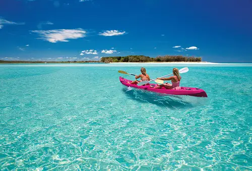 whale trip fraser island