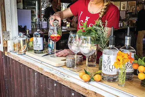 bar lady.jpg