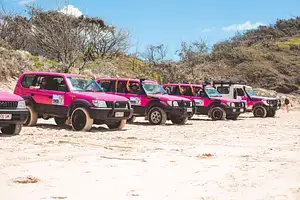 Pink 4WD