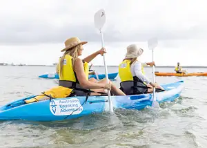 Morning Dolphin Kayaking & Snorkelling Tour