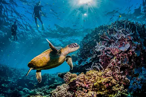 Great Barrier Reef