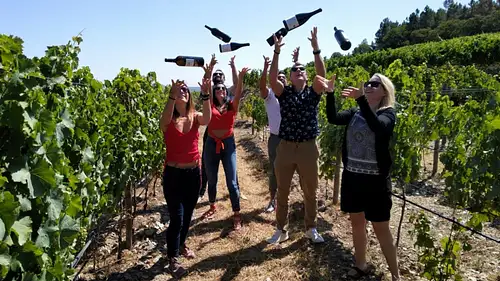 Small Group Tour of Douro Valley | From Porto