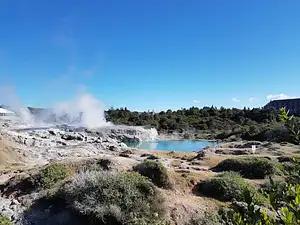 new zealand best tour